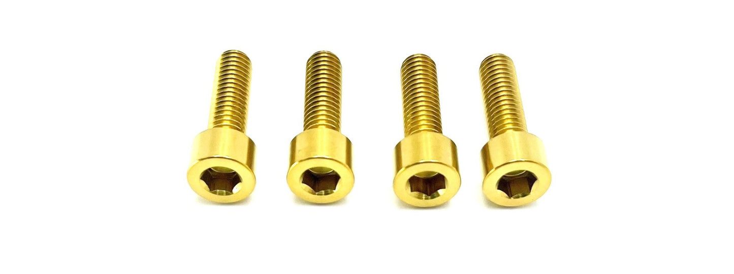 ALX32RC FastAce Fork Titanium Axle Pinch Bolts E-Ride Pro SS 3.0 and SR