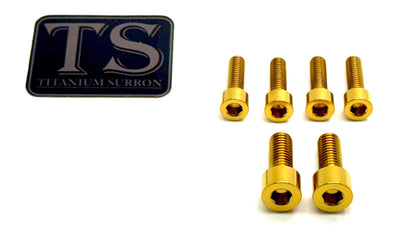 E-Ride Pro (all models) Titanium Stem Bolt Kit