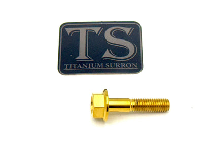 Altis Sigma Gearbox Cover Titanium Bolt Kit