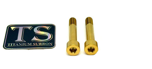 Titanium Motor Bolts - Rerode R1