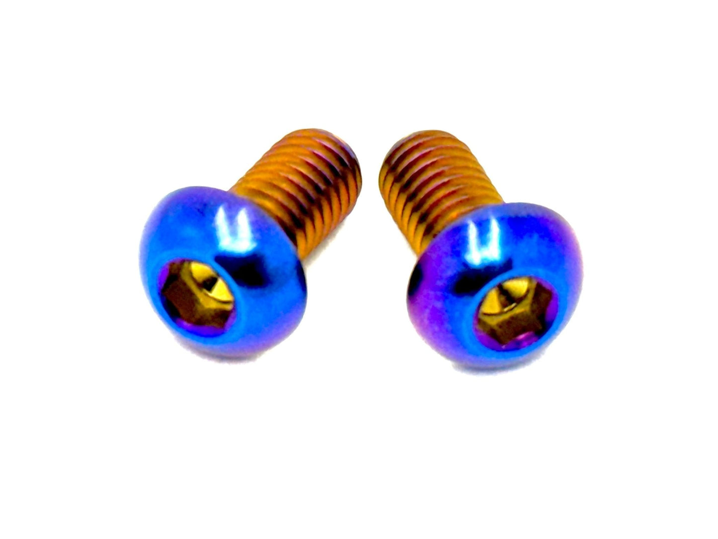 Titanium Motor Cover Bolts (Set of Two) Surron, Segway, 79 Bike, ERP